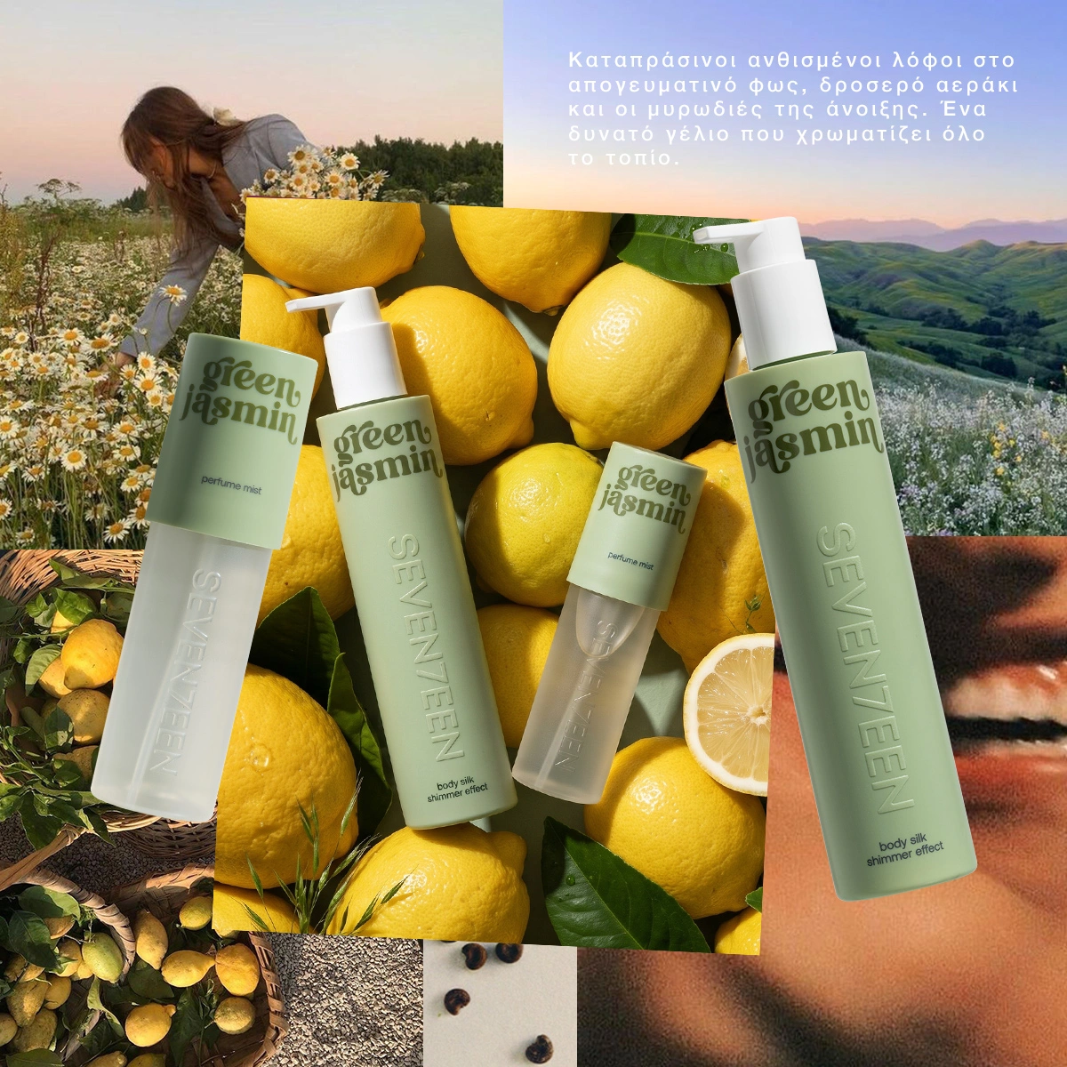Green_Jasmine_12 Green_Jasmine_12